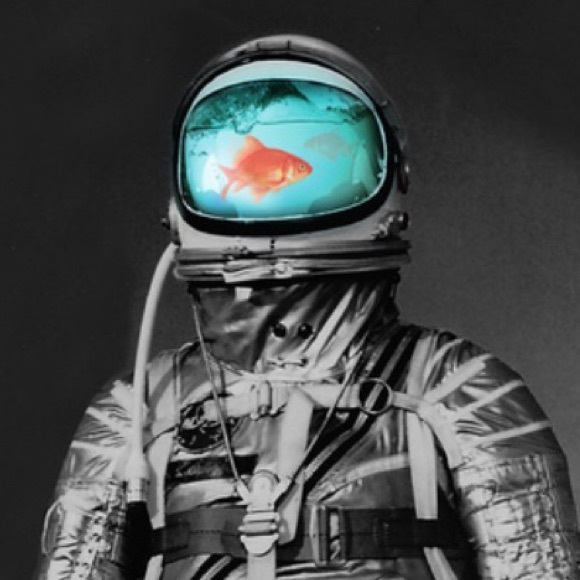 Meet your Posher, Jeremy - Picture 1 of 1